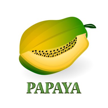 vektör çizim. beyaz zemin üzerinde papaya