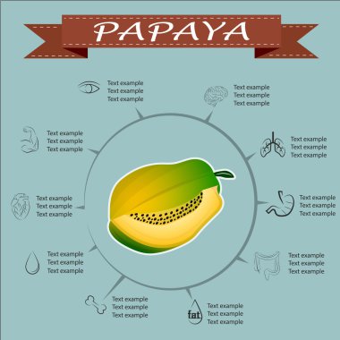 Papaya, faydaları vektör