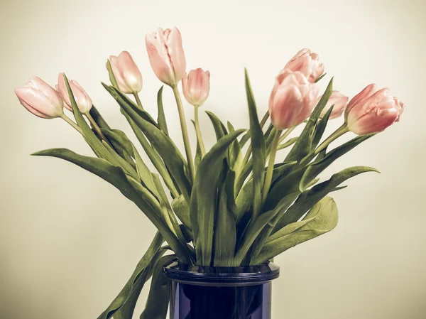 Lale çiçek vintage soluk — Stok fotoğraf