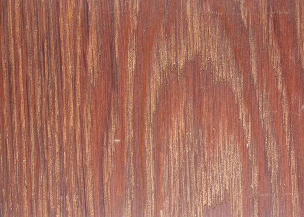 Amostra de madeira — Fotografia de Stock