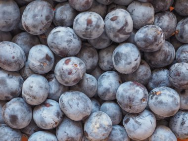 Erik meyve arka plan