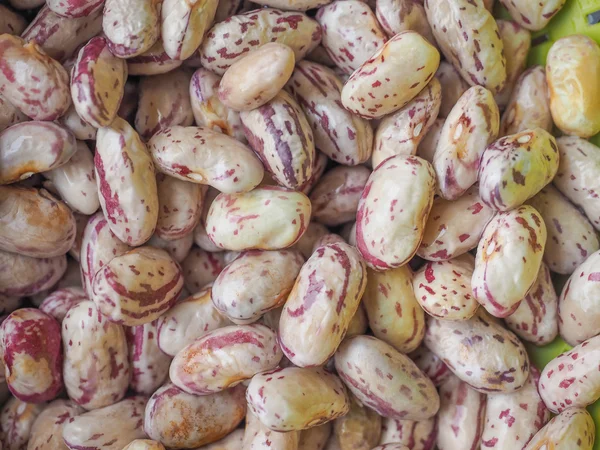 Koyu kırmızı fasulye sebze arka plan