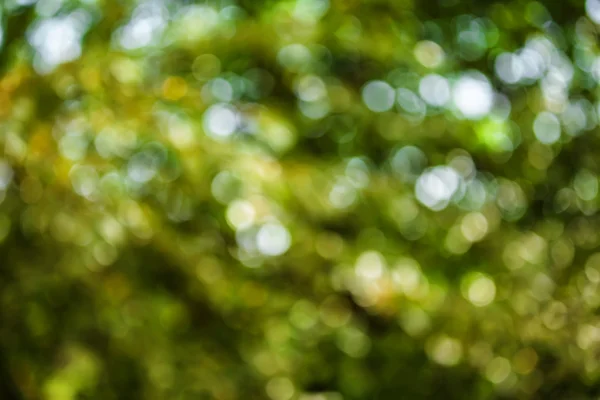 doğal bokeh arka plan