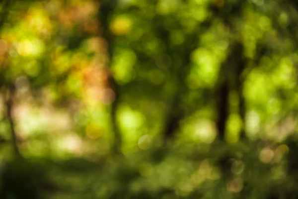 Grünes und gelbes natürliches Bokeh lizenzfreie Stockbilder