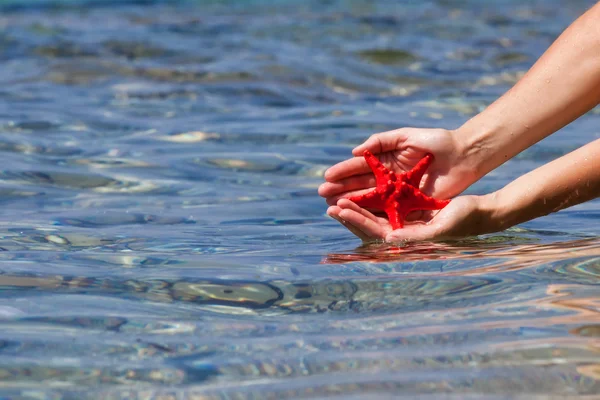 Kırmızı deniz yıldızı deniz suyu arka plan üzerinde ellerini,