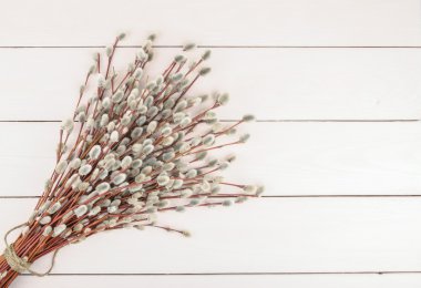 Willow twigs ahşap zemin üzerinde