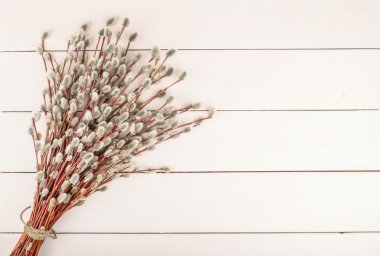 Willow twigs ahşap zemin üzerinde