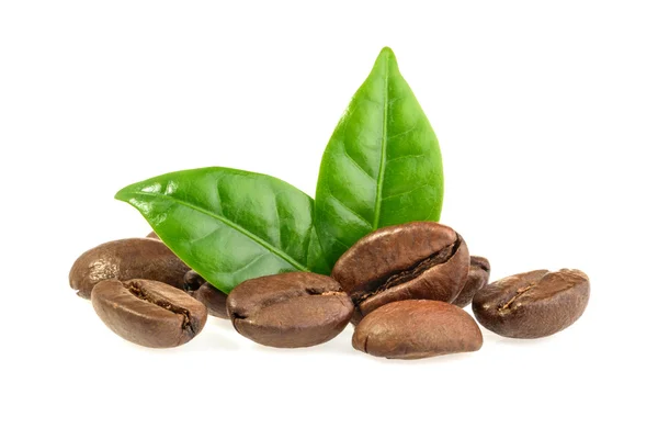 kahve taneleri ve izole yaprakları