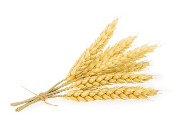 Beyaz üzerine izole buğday.