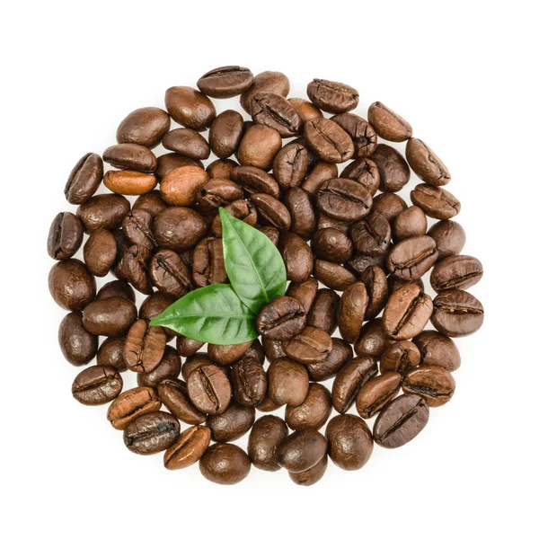 Kaffeekörner mit isolierten Blättern — Stockfoto