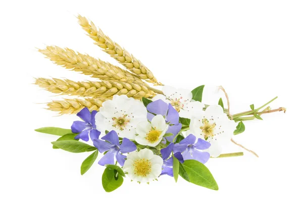 Wheat with flowers isolated on white — Stock Photo, Image