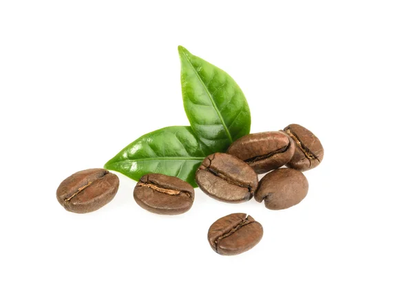 Kaffeekörner mit isolierten Blättern lizenzfreie Stockbilder