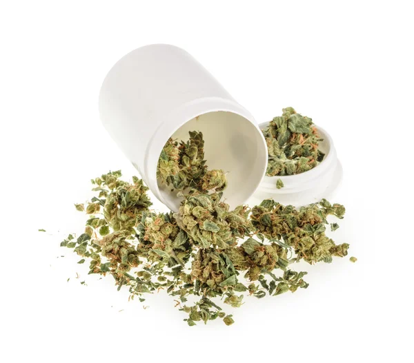 Marihuana pupeny izolované na bílém pozadí — Stock fotografie