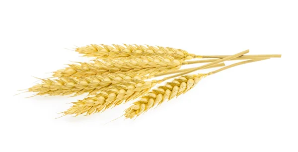 Wheat isolated on white Stock Photo