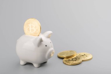 Bitcoin ve domuzcuk banka tasarruf kavramı