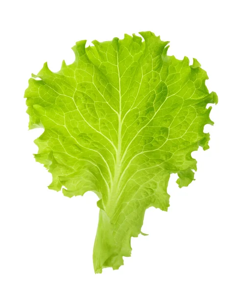 Green Lettuce Leaf Isolated Shadow Clipping Path — Stock Photo, Image