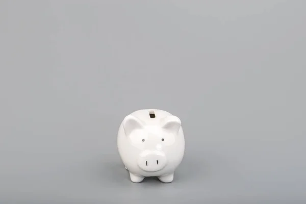 Piggy Bank Pengar Besparingar Koncept Med Kopieringsutrymme — Stockfoto