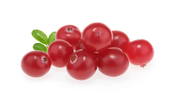 Preiselbeeren Isoliert Auf Weißem Hintergrund — Stockfoto