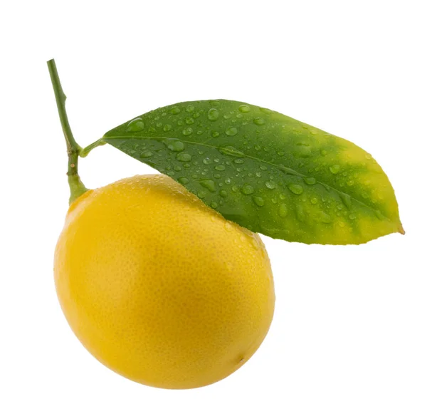 Lemon Isolated White Background Shadow — Stock Photo, Image