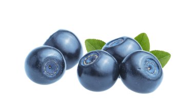Böğürtlenler (bilberry) gölgeli kırpma yolu olmadan beyaz üzerinde izole