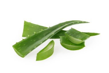 Aloe vera kesilmiş bitki kırpma yolu ile izole