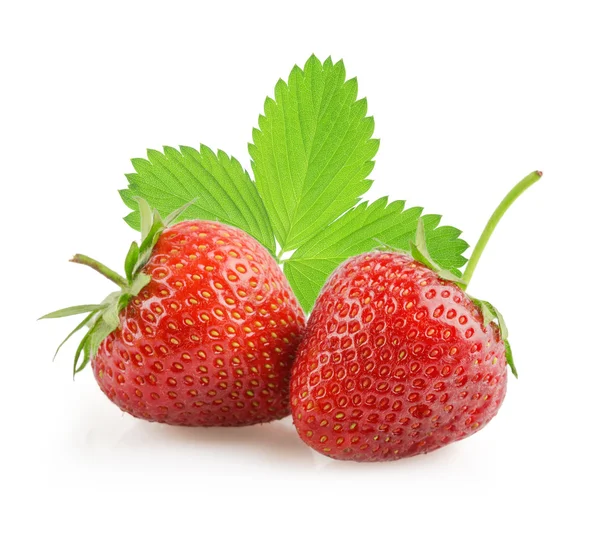 Strawberries isolated — Stock Photo, Image