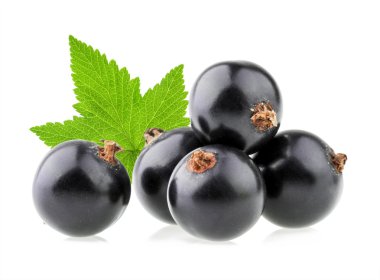 Siyah frenk üzümü izole