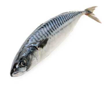 Mackerel fish on wooden plate isolated clipart