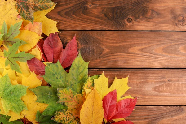 Hojas de otoño sobre fondo de madera con espacio para copiar —  Fotos de Stock