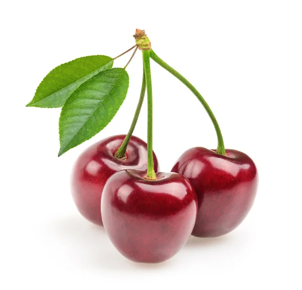 Cerezas aisladas — Foto de Stock