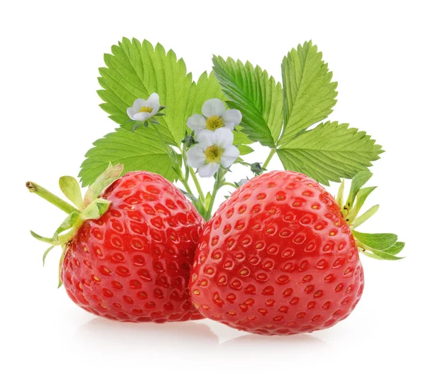 Fresas aisladas — Foto de Stock