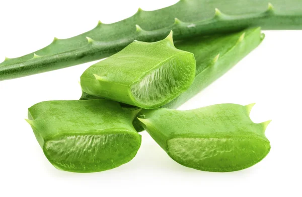 Aloe vera foglia fresca. isolato su bianco — Foto Stock