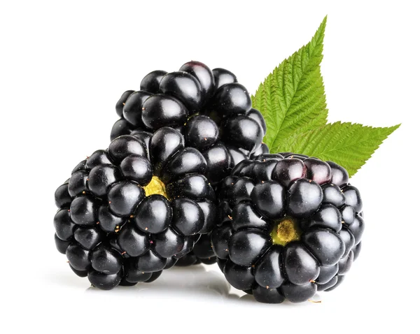孤立的黑莓水果 — 图库照片