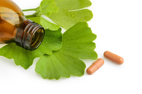 Ginkgo biloba folhas e frascos de medicamentos com comprimidos isolados — Fotografia de Stock