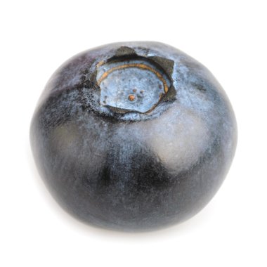 beyaz arkaplanda yaban mersini izole