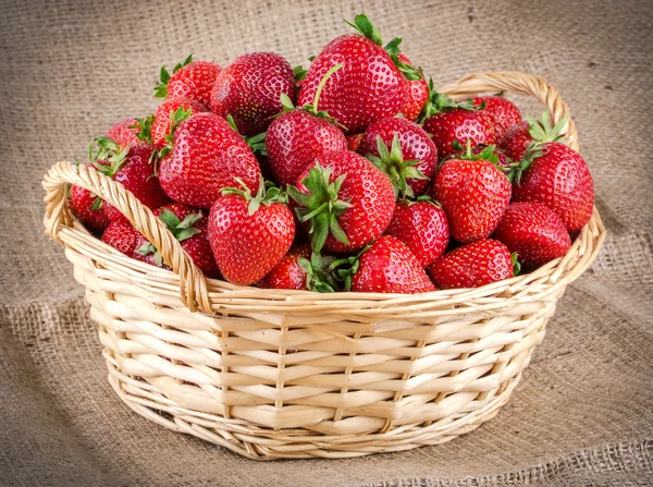 Fresas en una canasta —  Fotos de Stock