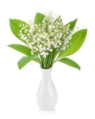 Beyaz arka planda vadi zambakları