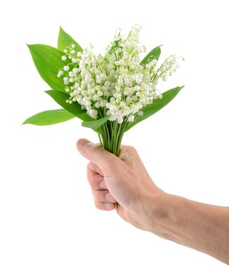 Lily vadi üzerinde beyaz izole tutan el