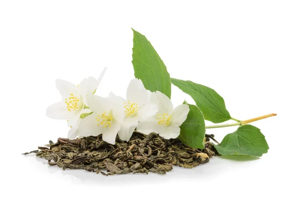 Jasmine tea with jasmine flowers on white — Stock Photo, Image