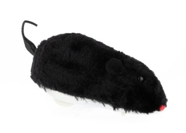 Kedi Oyuncağı pelüşlü fare Kurma Mekanik izole beyaz arkaplan