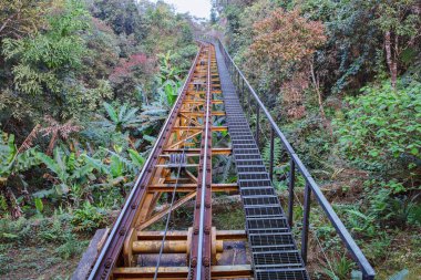 Her İki Tarafta Ormanlı Demiryolu Kablo Hattı. 