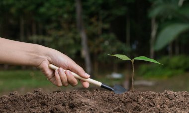 Bahçedeki aletlerle ağaç dikmek