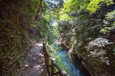 Nunobiki Şelalesi, Japonya 'nın Kobe kenti yakınlarında bir şelale setidir.