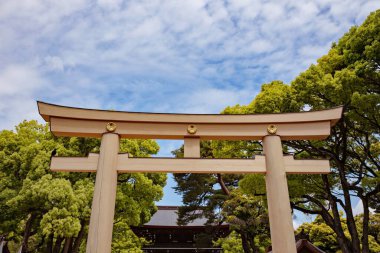 Yoyogi Park, Tokyo, Japonya 'daki Wooded Shinto Gate Meiji Jingu türbesi.