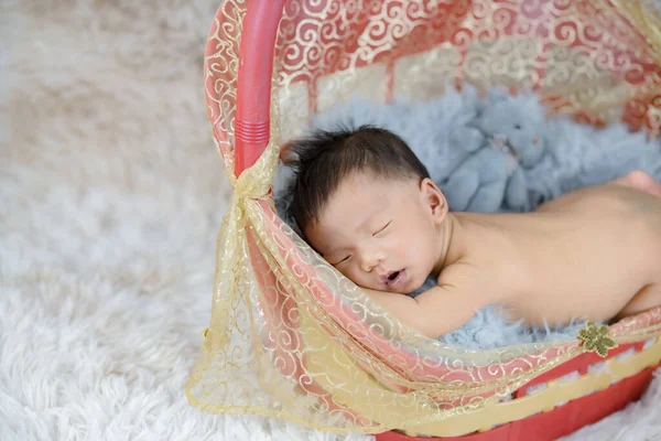 Bebê Recém Nascido Bonito Dormindo Uma Cesta — Fotografia de Stock