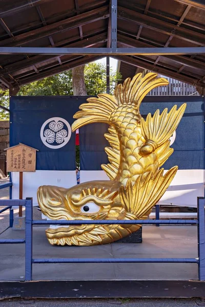 Nagoya Japan Mai Mai 2019 Goldener Killerwal Hecht Auf Der — Stockfoto