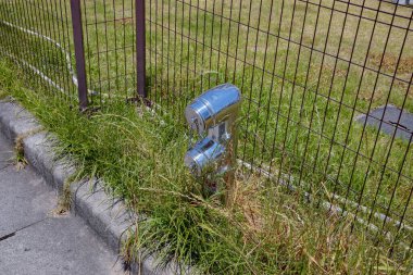 Gümüş yangın musluğu şehrin bahçesinde duruyor.