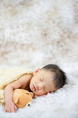 Küçük bebek uyuyor Bir deniz aslanı bebeğine sarılıyor