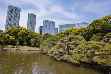 TOKYO JAPAN Mayıs - 18, 2019: Hamarikyu Bahçeleri Tokyo şehir merkezindeki bir sükunet kalesidir.