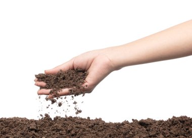 beyaz arka planda izole edilmiş verimli topraklara el yapımı fidanlar.